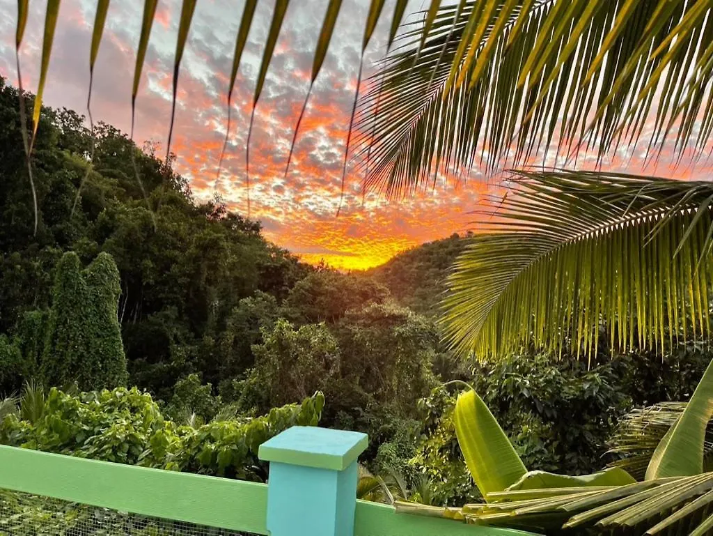 Bed & Breakfast Chambre Et Table D'Hotes De Charme Chez Ade Le Gosier  Guadeloupe